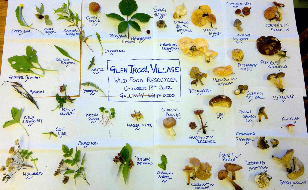 Wild food resources