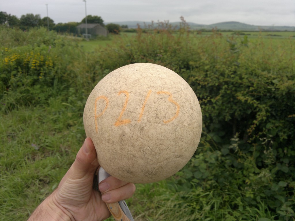 bogus puffball