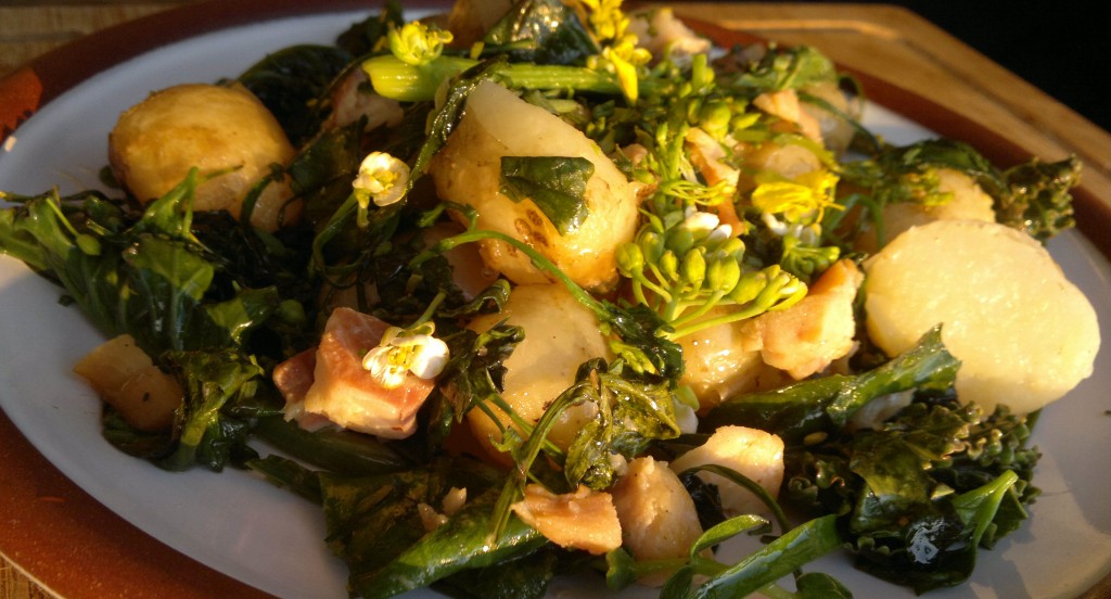 New pots, hot smoked salmon, sea kale, sea beet, sea sandwort