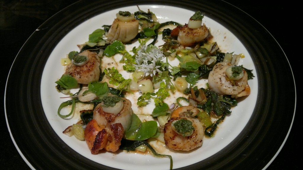 Scallops, wilted ramsons + nettle tops, reedmace, sweet cicely puree, wood sorrel, saxifrage