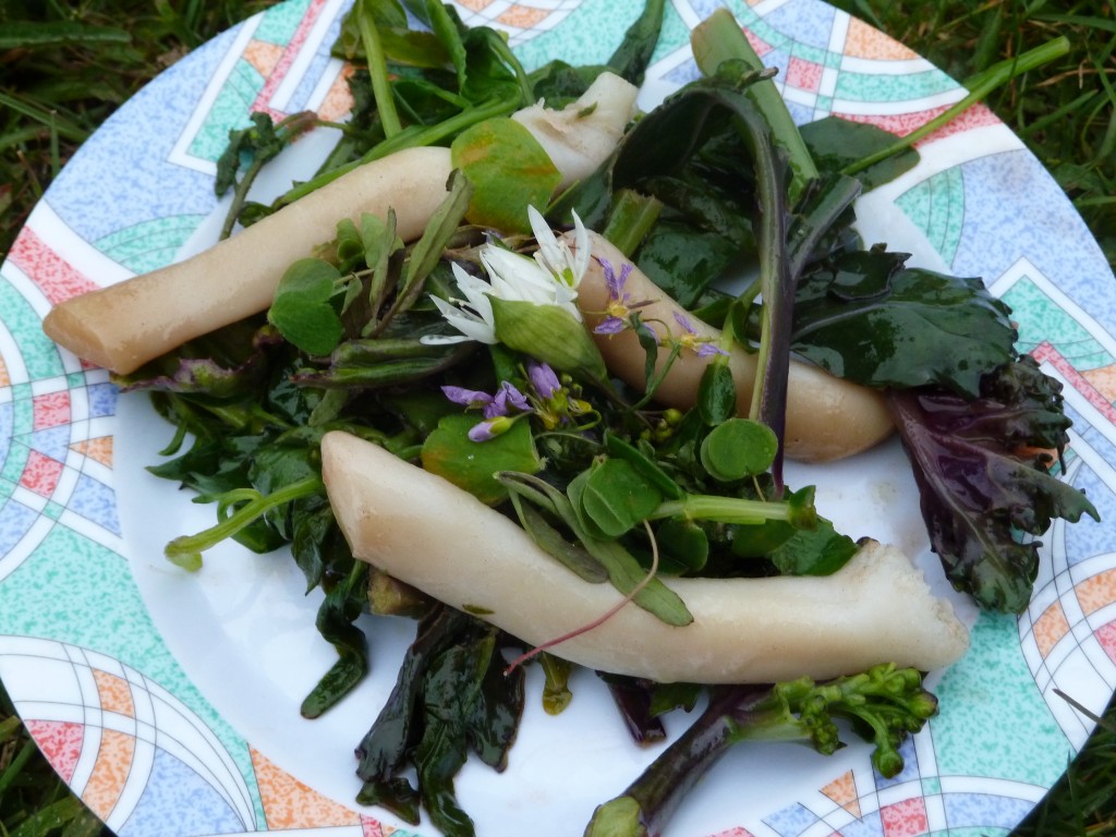 Spoots with cuckoo flower, ramsons, wood sorrel, sea veg