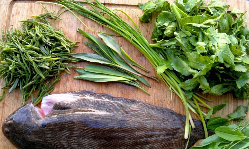 Sea arrowgrass, sea aster, sea blite, dover sole, sorrel