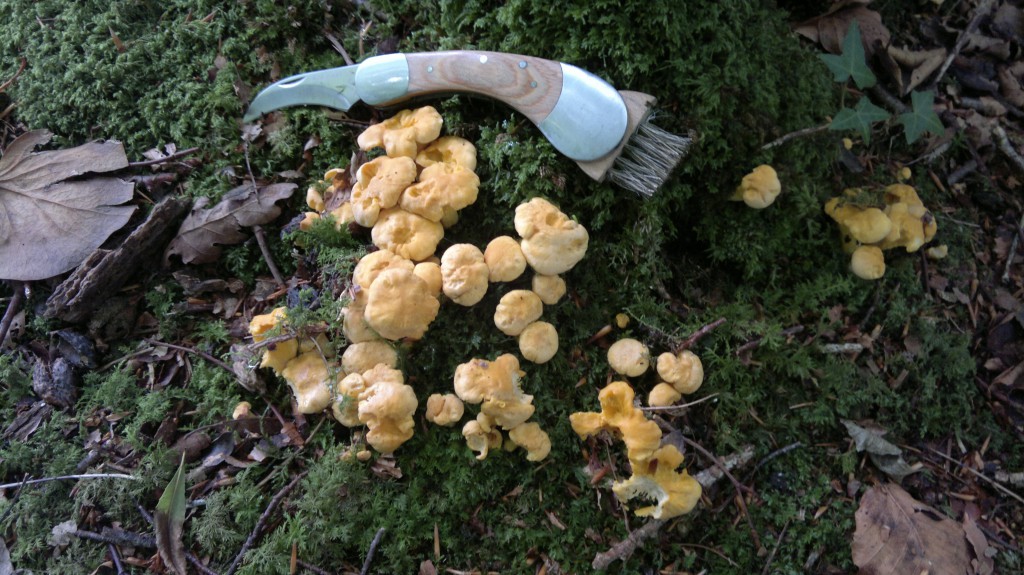 Too small to pick. Ignore the bad example set by some chefs.