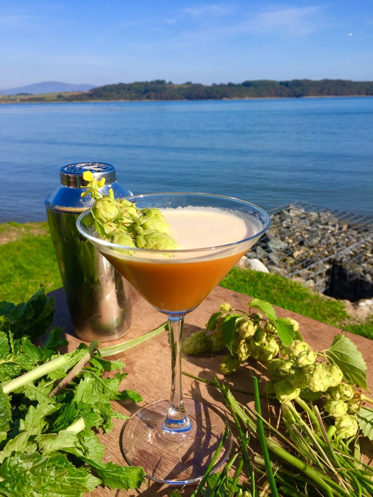 The Wild Whisky Sour, with wild hop bitters