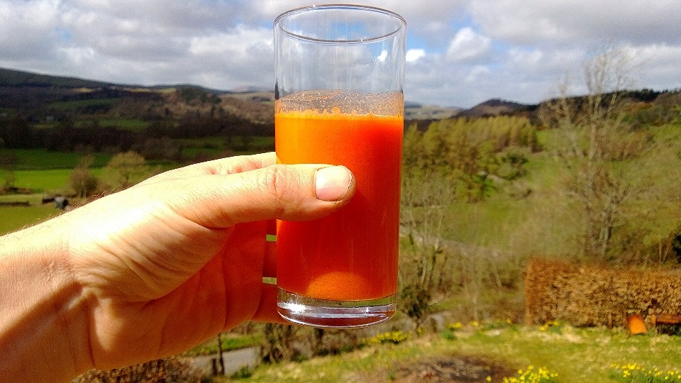 Not just colour sympathy - sea buckthorn juice with carrot juice is one of the finest, tasyiest health drinks
