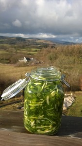 Fermented wild garlic