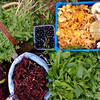 october bounty